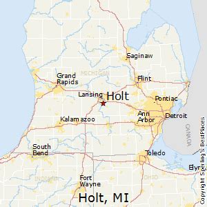 map of holt mi.